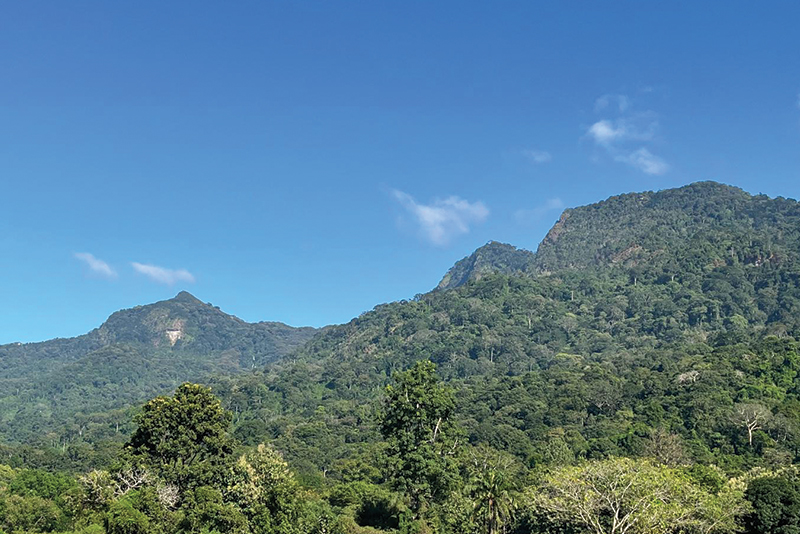 Greater Udzungwa-Kilombero landscape