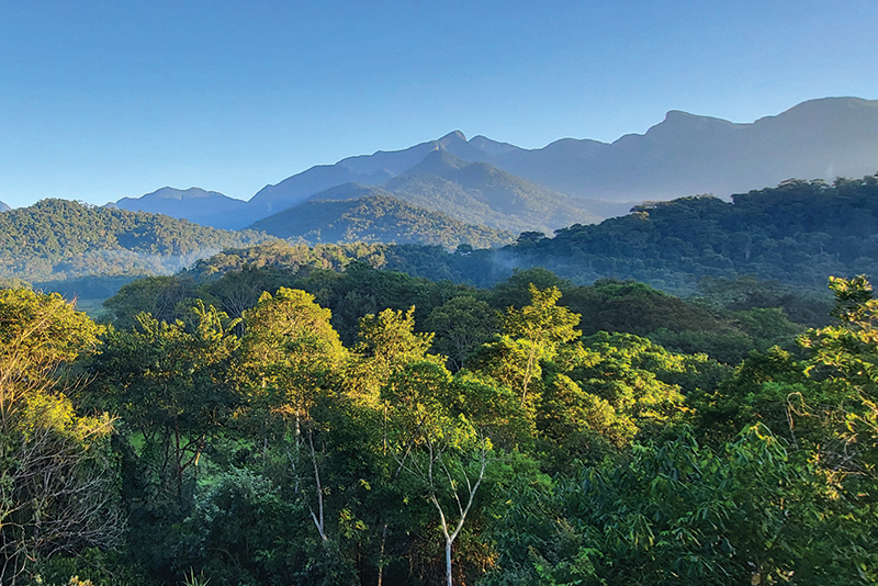 A view of atlantic forest and mountains at REGYA, Brazil